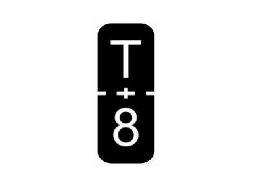 T+8
