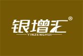 银增汇YINZENGHUI