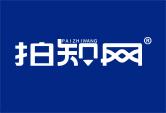 拍知网PAIZHIWANG