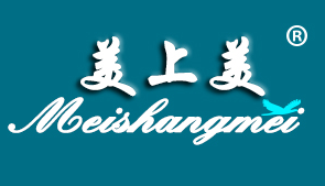美上美
