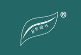 元生绿叶