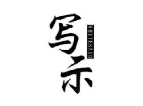 写示     WRITESAID