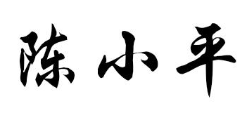 陈小平