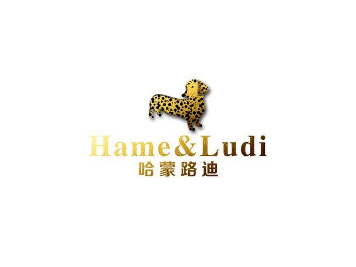 哈蒙路迪