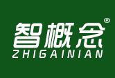 智概念