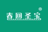 春回圣宝