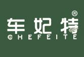 车妃特