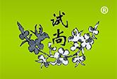 试尚