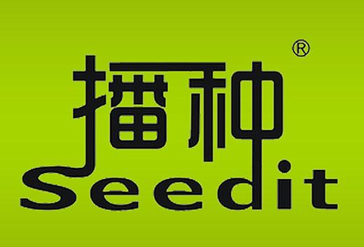 播种