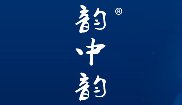 韵中韵