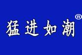 猛进如潮