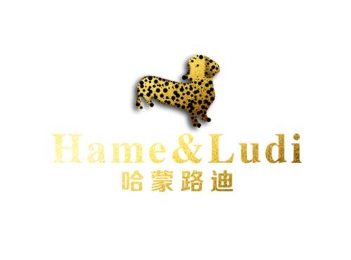 哈蒙路迪