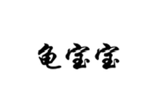 龟宝宝