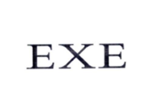 EXE