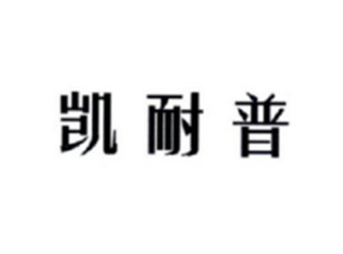 凯耐普