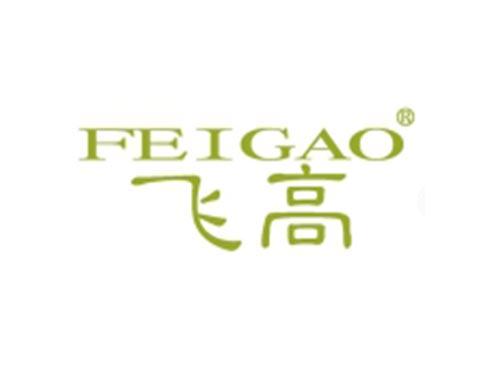飞高FEIGAO