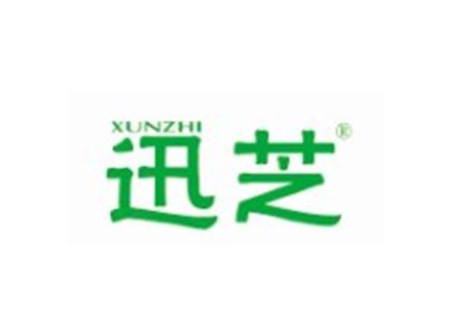 迅芝XUNZHI