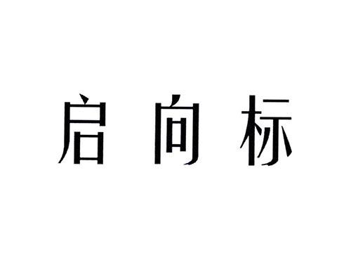 启向标