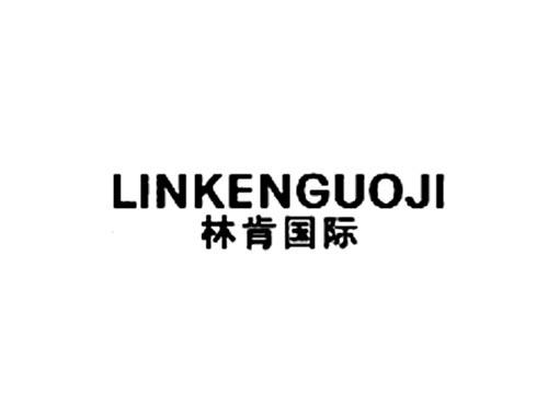 林肯国际