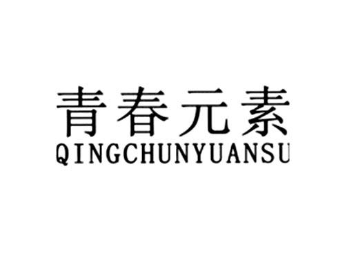 青春元素