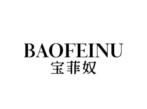 宝菲奴