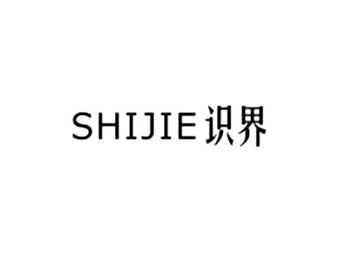 识界