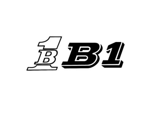 B1图形