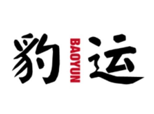 豹运BAOYUN