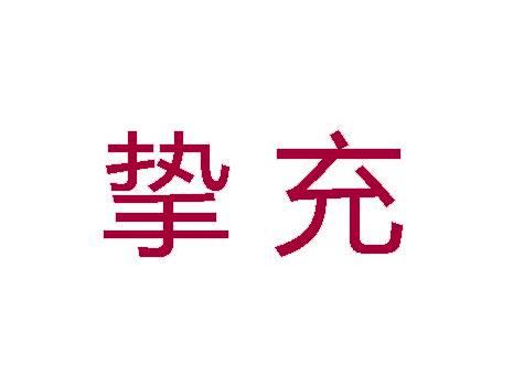 挚充