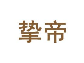 挚帝     9/11同名