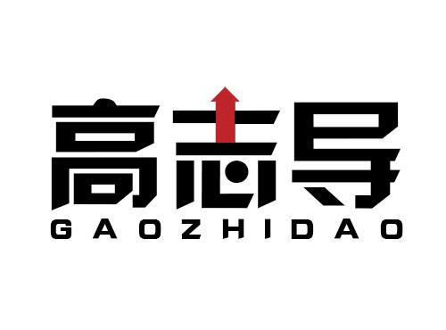 高志导