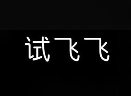 试飞飞