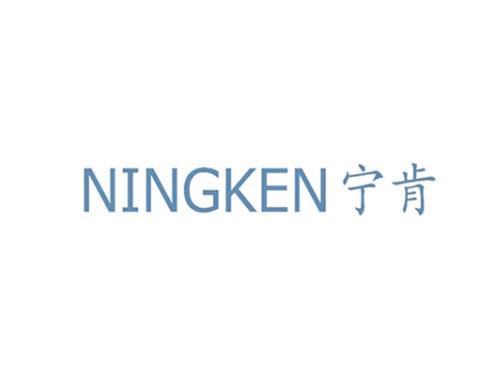 宁肯