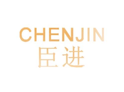 臣进