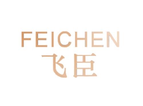 飞臣