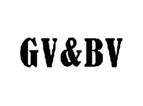 GV BV