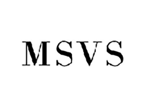 MSVS