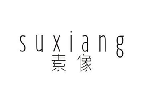 素像