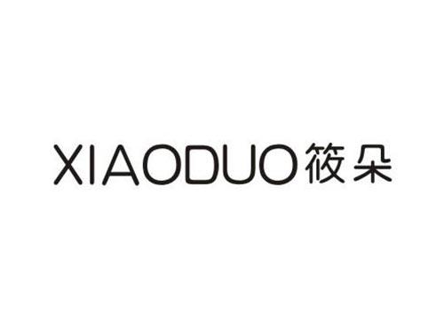 筱朵