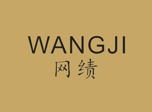 网绩