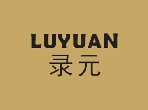 录元