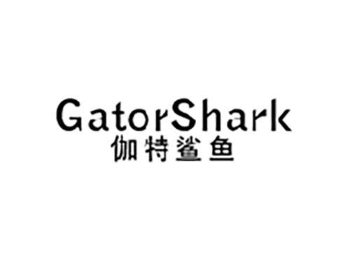 伽特鲨鱼 GATORSHARK