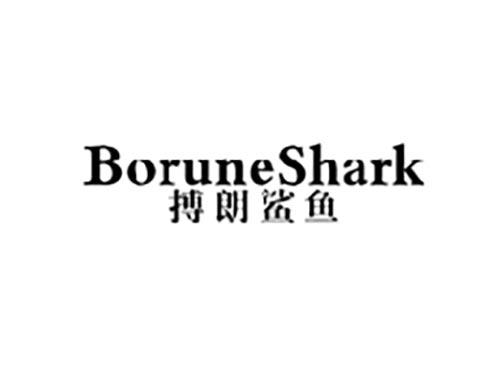 搏朗鲨鱼 BORUNESHARK