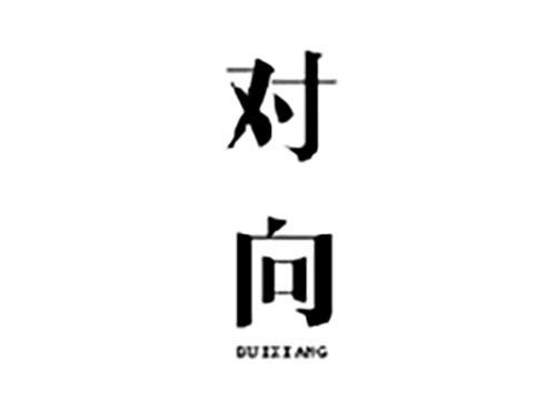 对向