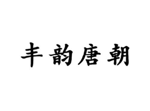 丰韵唐朝
