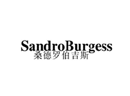 桑德罗伯吉斯 SANDROBURGESS