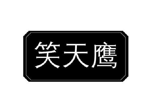 笑天鹰