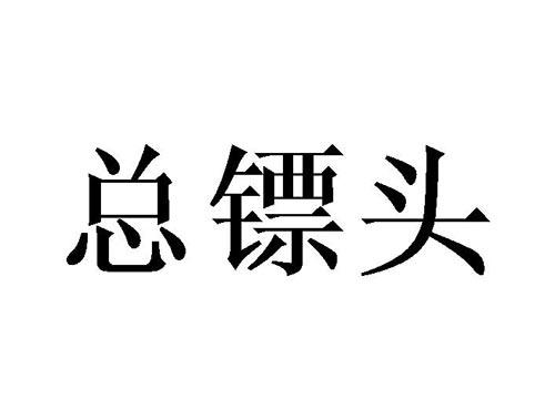 总镖头