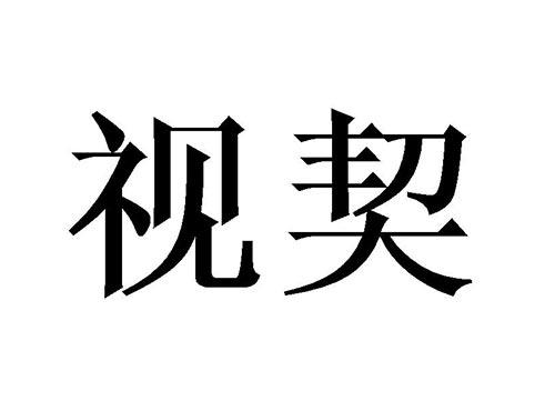 视契