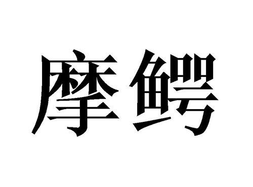 摩鳄